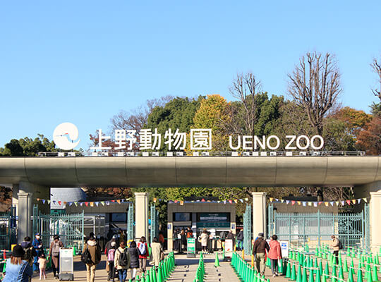 上野