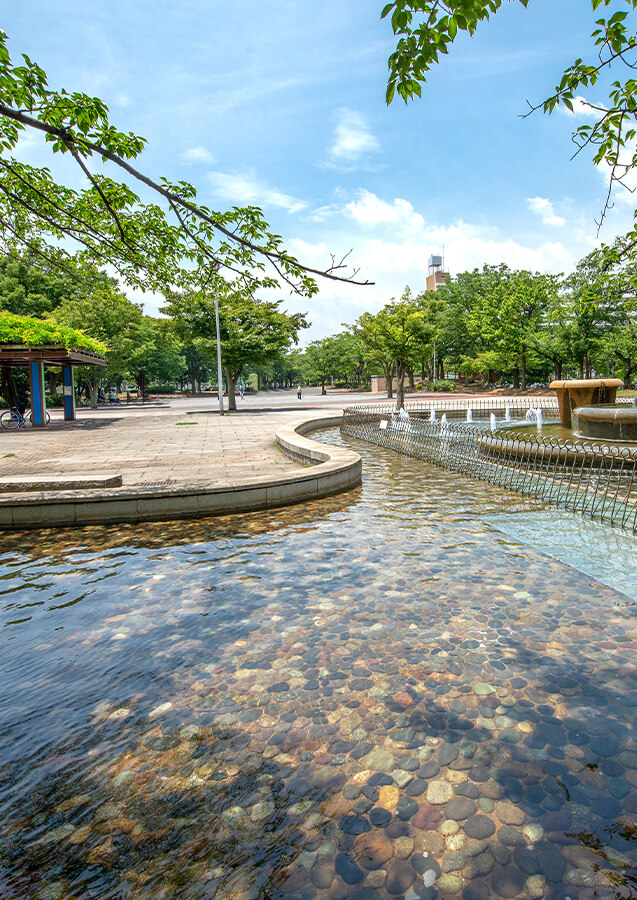 東京都葛飾区立の新小岩公園